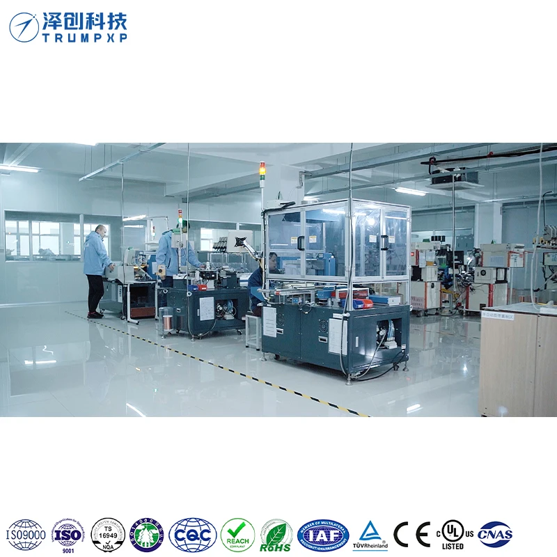 ODM OEM TCB-35 50mg 100mg Small Ceramic Plate Air Purifier Parts Ozone Generator for Kitchen Home Use