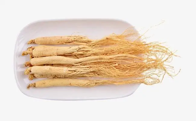 Best Price Natural Panax Ginseng Root Extract Powder