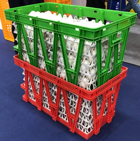 Multifunctional egg tray carton plastic 30 holes plastic egg tray egg holder for sale