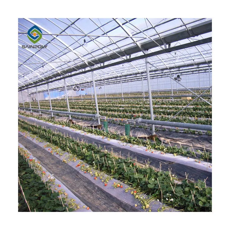 Commercial Plastic Film Tunnel Greenhouse Galvanized Agriculture Transparent Greenhouse Tunnel Garden Greenhouse