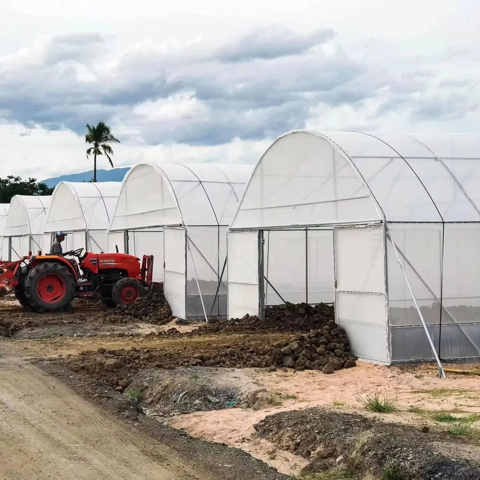 Дешевые Туннельные Теплицы Китайский Теплица Для Овощей