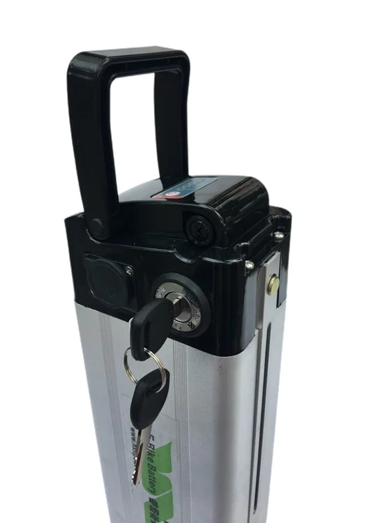 DGWZ 24V36V48V 10-20ah высококачественный и большой емкости аккумулятор silverfish Аккумулятор для