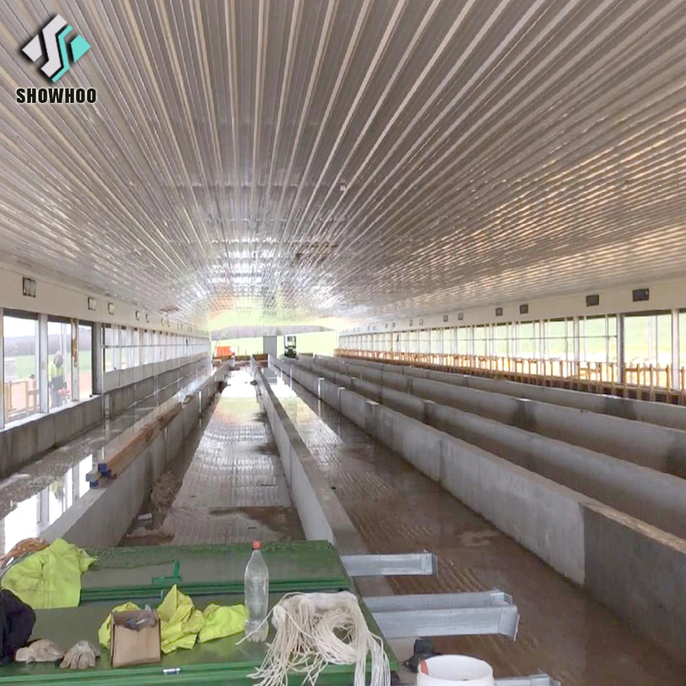 Directly Factory supplying egg layer poultry shed chicken farm house for 10000 chickens