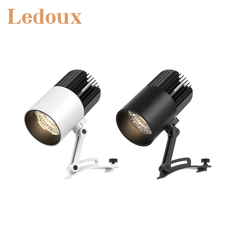 LEDOUX New Product Anti-Glare Surface Mounted Adjustable Aluminum Museum Down Lighting 2 10 15 20 30 W Light Track Led