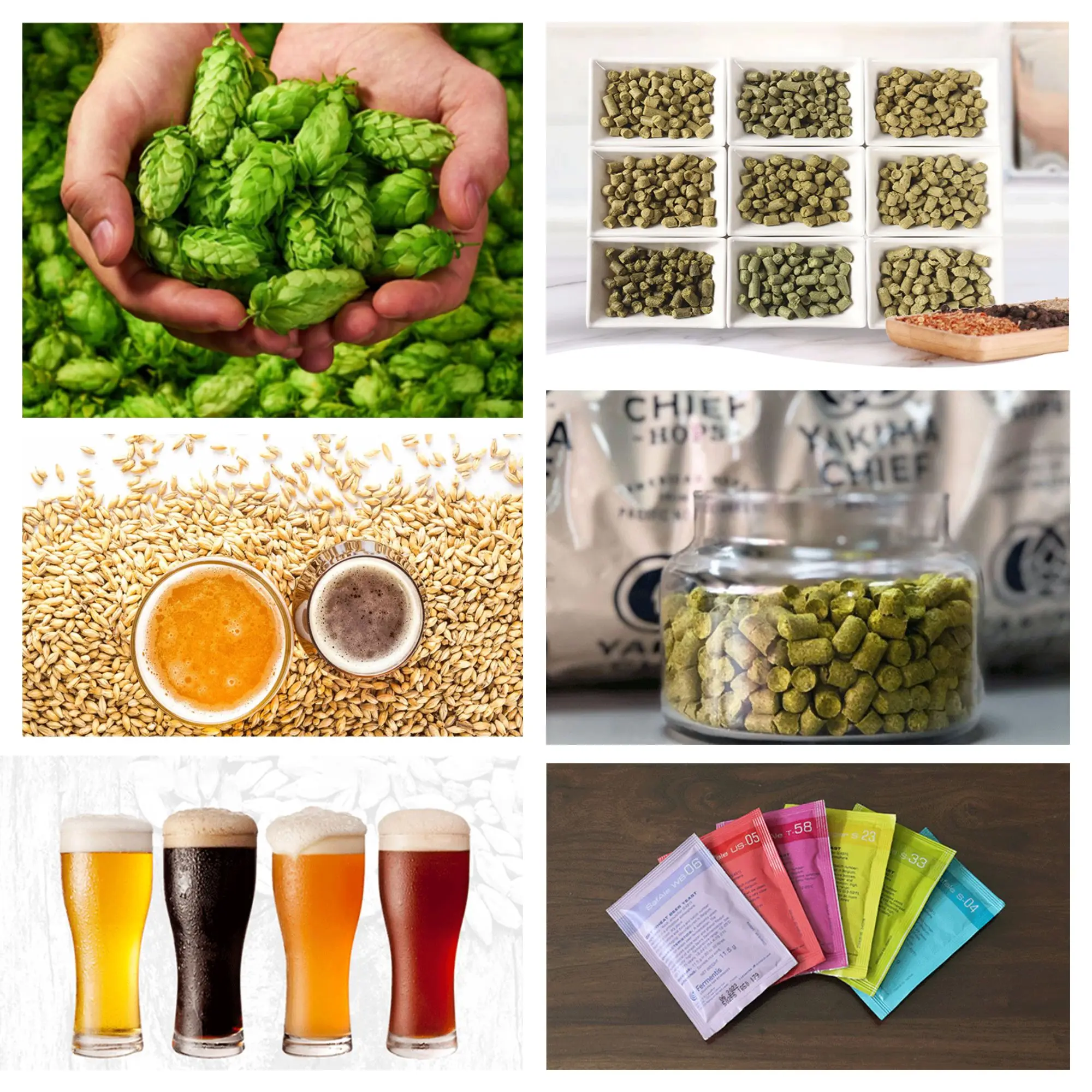 200L micro brewing system Brewhouse Beer Brewery Equipment Brewing Equipment Manufacturer