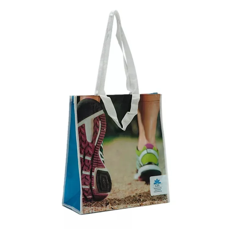 Eco Friendly Cheap Customized Pattern Large Strong Printing Pattern Non-woven Shopping Rpet Bag