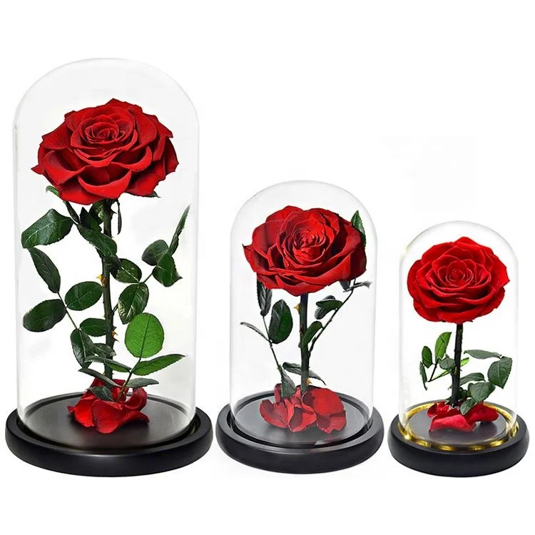 OEM Perfect Valentines Day Gifts Multiple Colours Eternal Rose Conservata Preserved Everlasting Real Rose Flower in Glass Dome