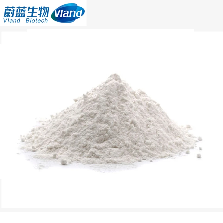 High Quality Transglutaminase Enzyme for Food Best Price Available