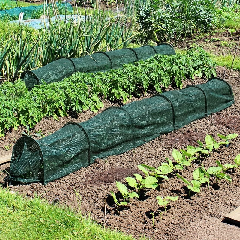Садовые растения 45x45x300 см