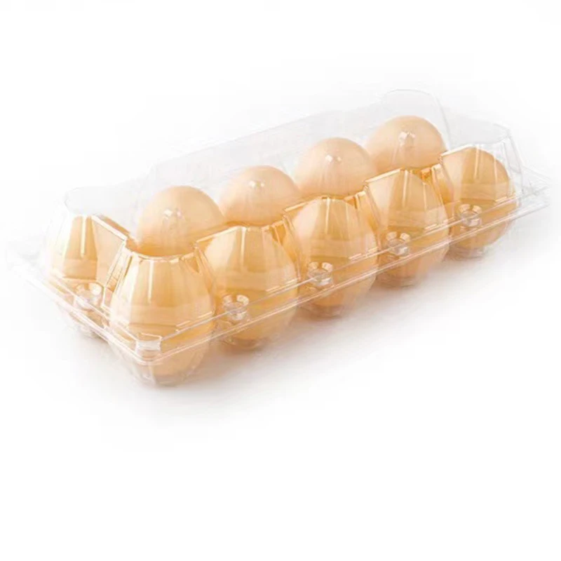 Empty Transparent Disposable Plastic Egg Packaging Box With 4/6/8/10/12 Holes DIY Home Decor
