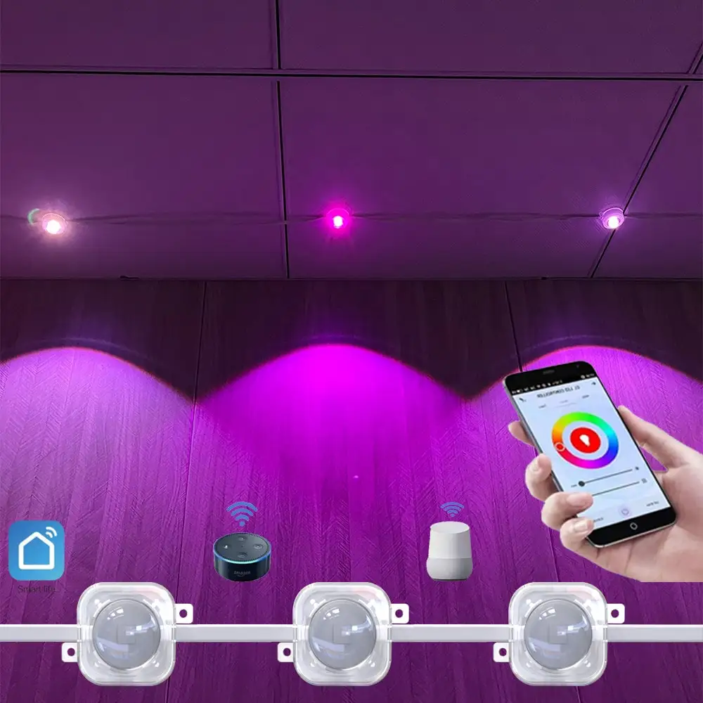 Праздничный Перманентный Рождественский свет 1903 2904 Ic 30 мм пиксельный светодиодный 12 В Rgb Rgbw наружный точечный для фасада здания