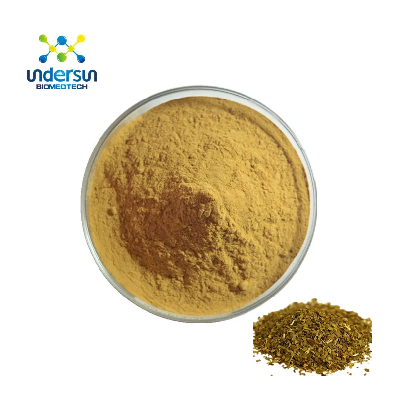 health supplement yerba mate extract powder