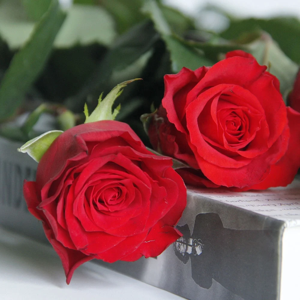 Wholesales Factory Supply Ecuador Fresh Cut Flowers Red Roses Lilies Antherium  For Home Valentine Flower Arrangement Bouquet