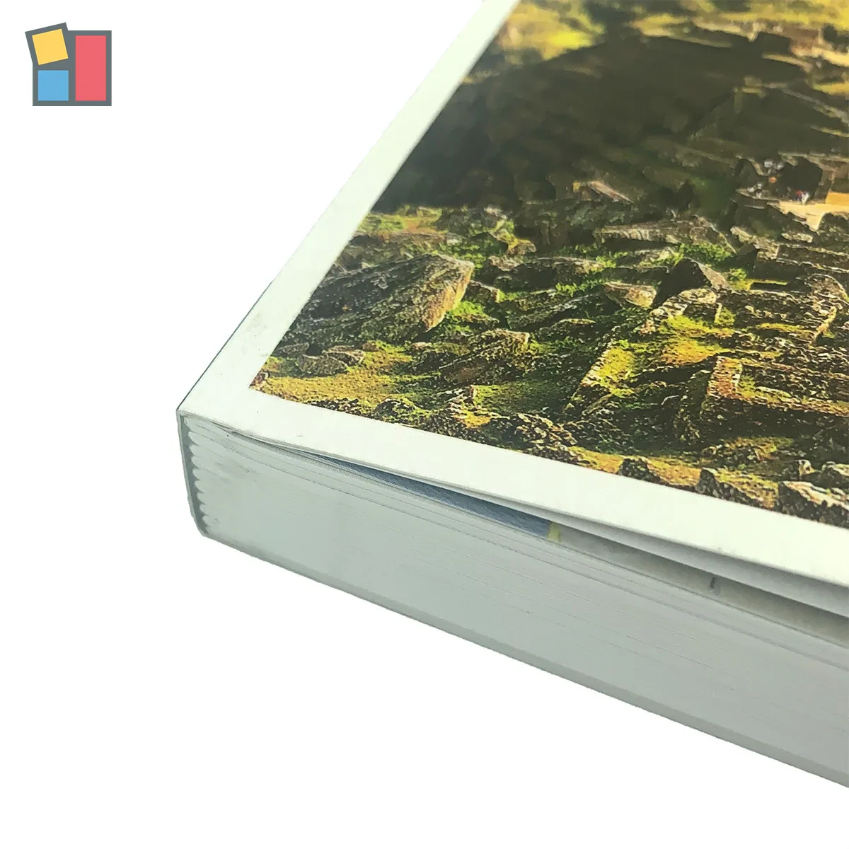 Оптовая продажа Заказная Книга в мягкой обложке