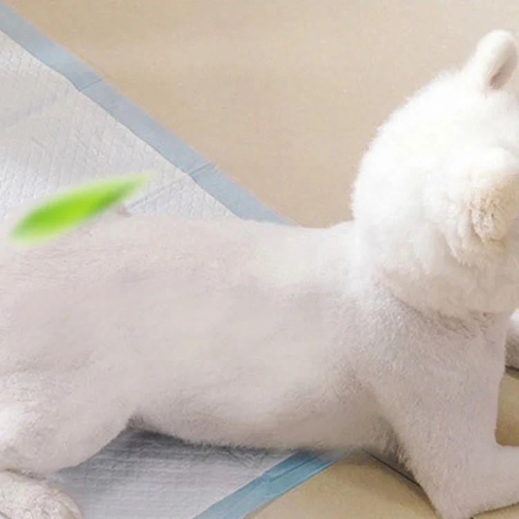 winning products 2024 new design china factory wholesale high quality pet products puppy potty training pee pads