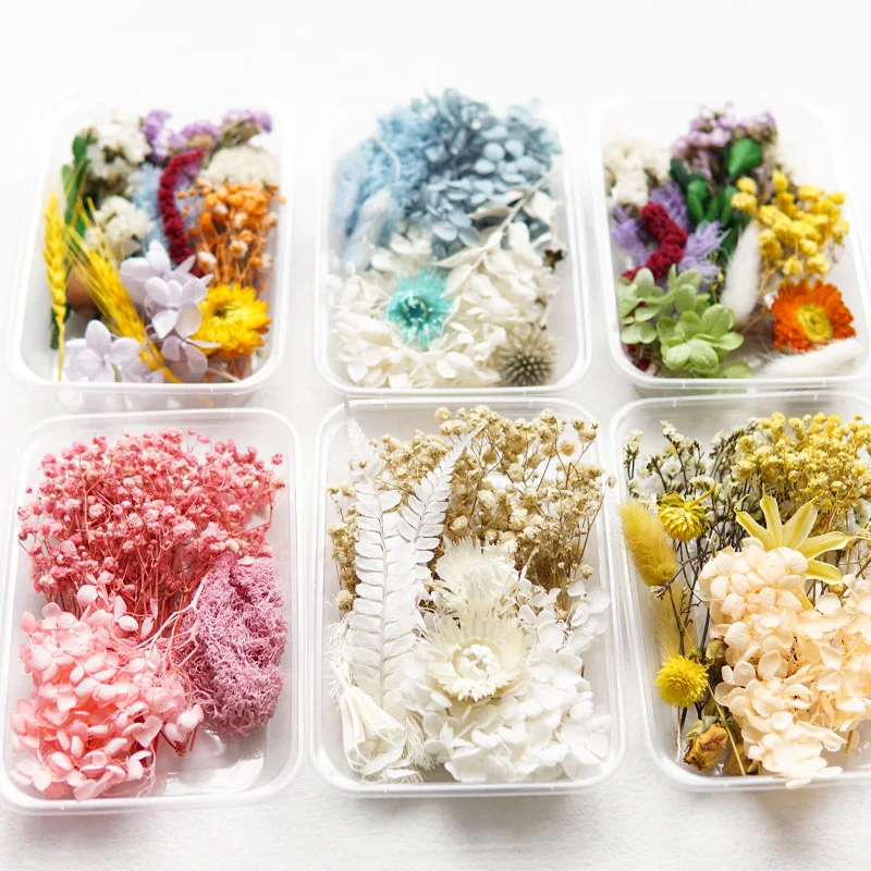 wholesale dried flowers and plants room decor wedding decorations reed diffuser dried flowers