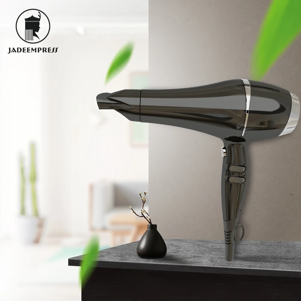 Professional removable filter  Hair Dryer with high  temperature resistant  of EPS6610