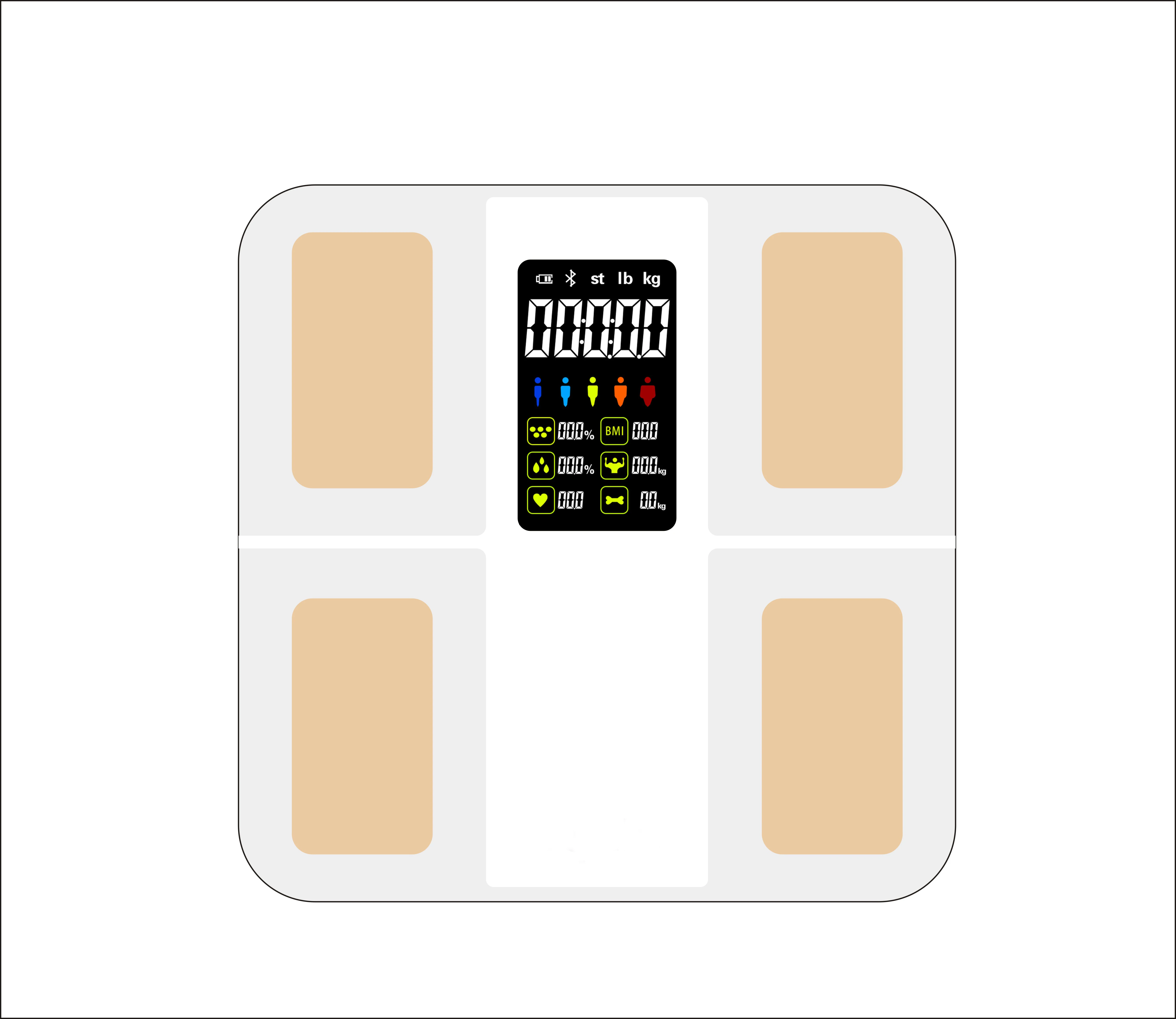 BL-8048V Colorful screen VA big  display electronic digital body fat measuring scale digital  with 4 Electrodes