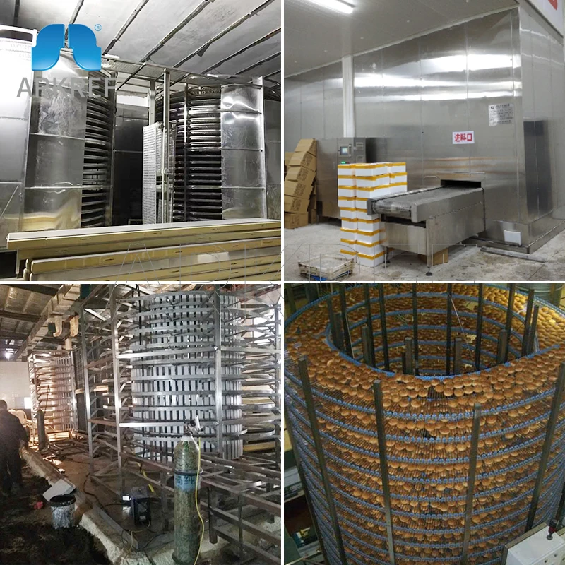 Individual Spiral Quick Freezer Spiral Iqf For Vegetable/meat/seafood Processing Plant