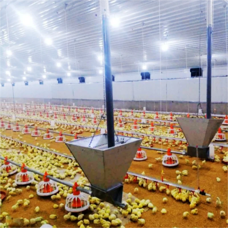 Chicken coop steel structure waterproof dog rabbit coop factory direct sales