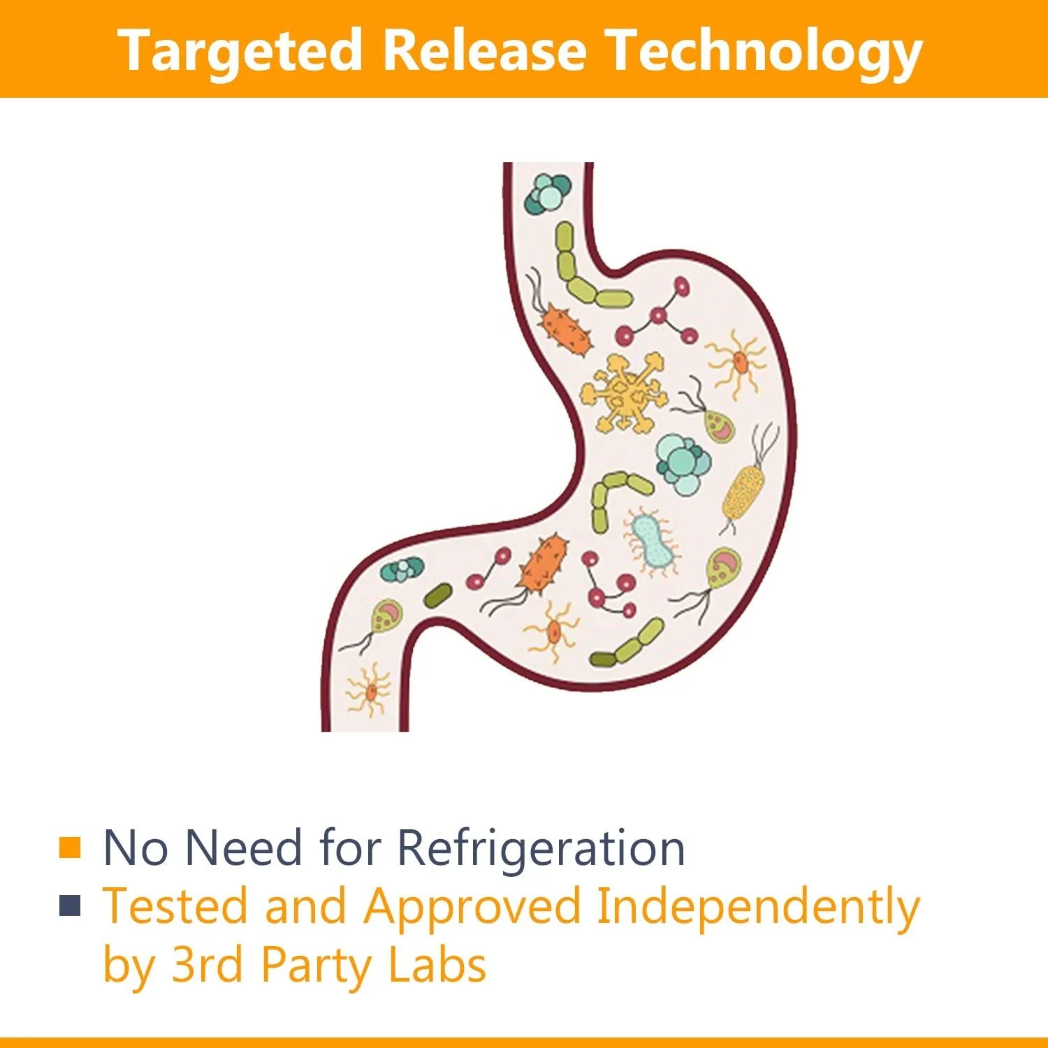 60 млрд cfus пробиотики добавки пребиотики вегетарианские капсулы с 10 пробиотиков напряжения