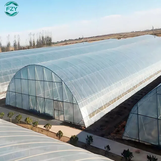 supply large winter garden vegetable growing Single Span  Film Green House Metal Frame Tunnel  agricultural greenhouse for plant