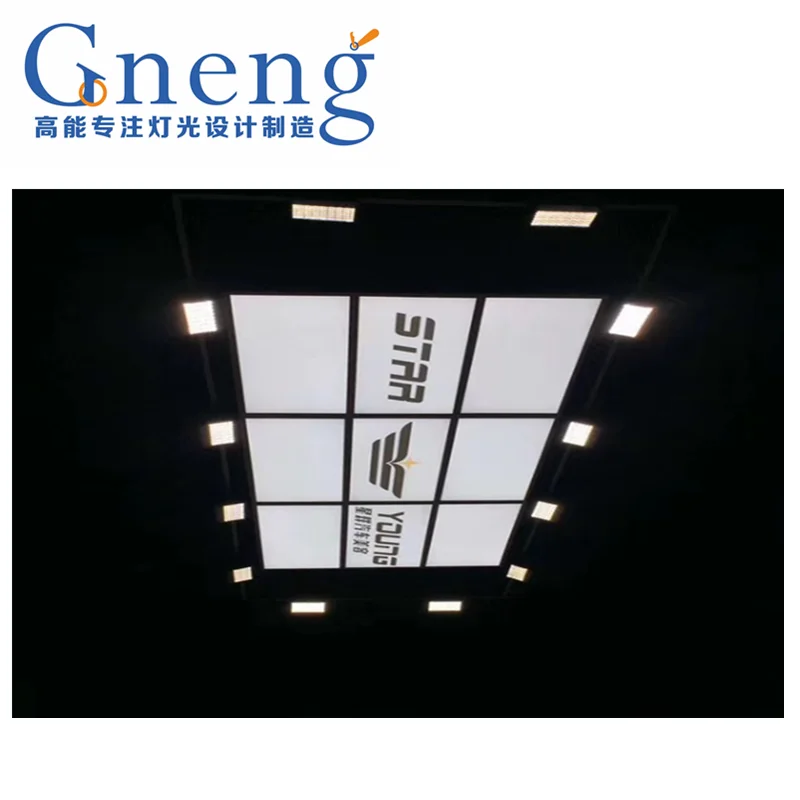 NEW Style LED Panel Light With LED Flood Light For Better Car Paint Film Works in Auto 4S shops