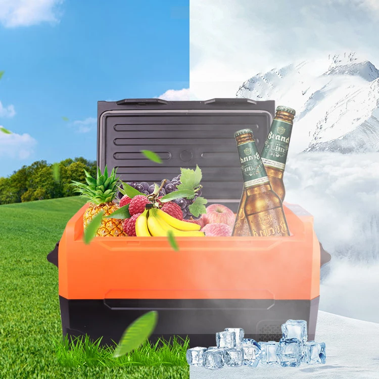 Frozen 50L 12V 24V portable compressor Car Fridge Caravan Camping Car Freezer Portable Refrigerator with CE