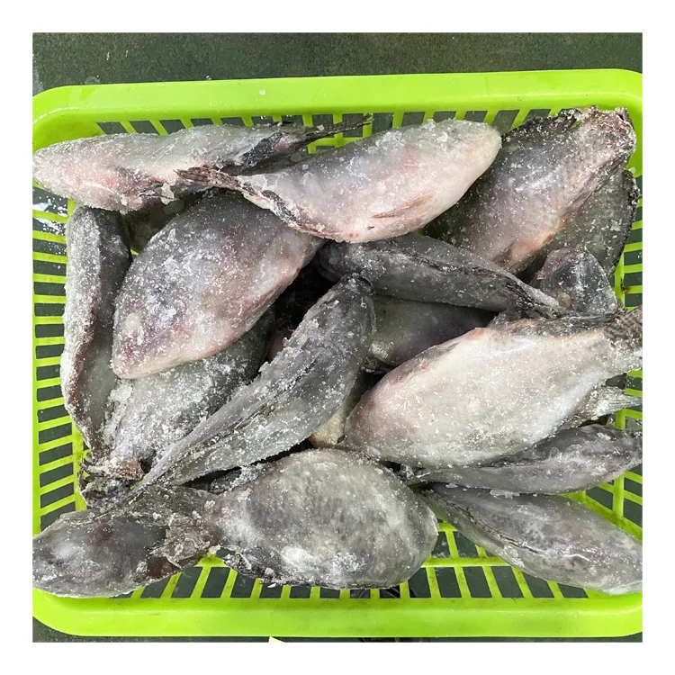 Competitive Price Seafood Supplier Frozen Fresh Fish Tlapia 300-500G Whole Clean Kosher WR Black Tilapia Exporters