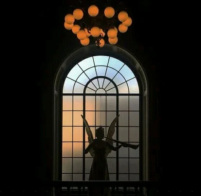 Elegant and Modern Steel windows Copper/Bronze windows Steel Doors Producer CN Wholesale