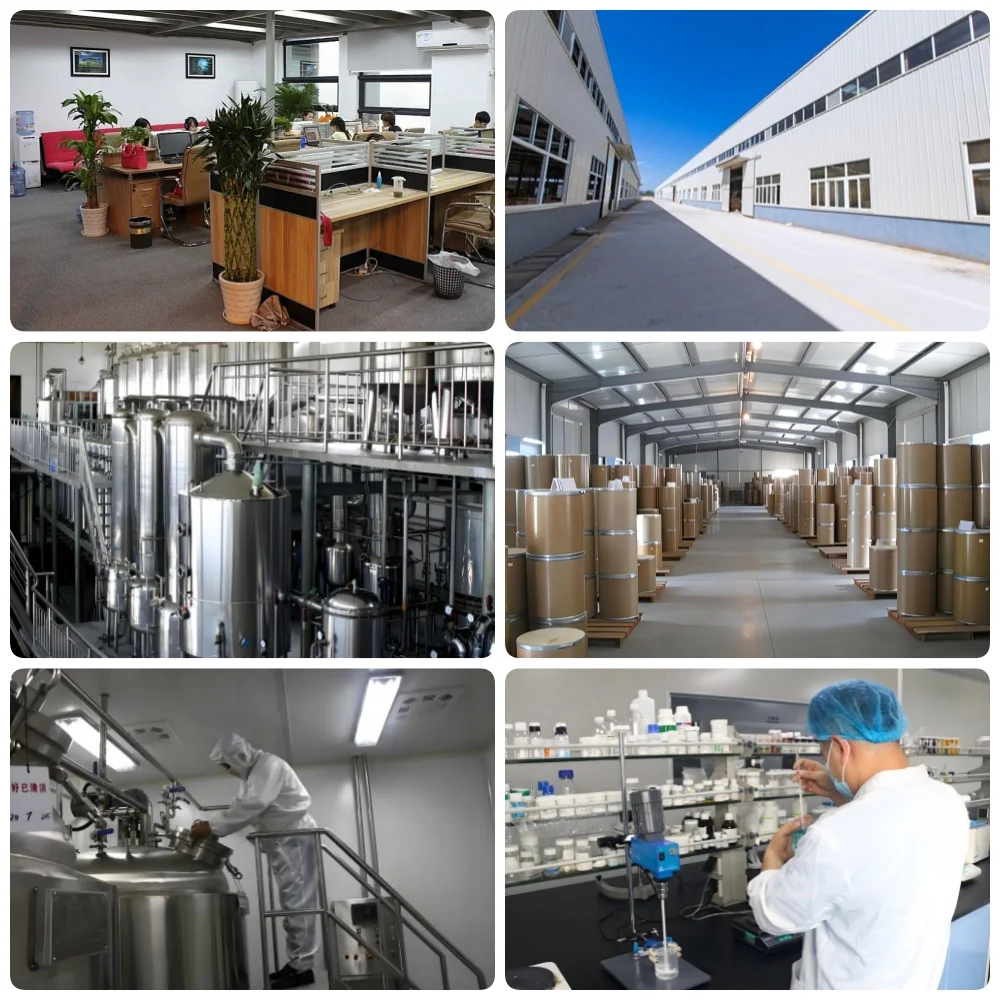 High Quality Mogroside V Monk Fruit Extract Powder Luohanguo Powder Momordica Grosvenori Extract Powder