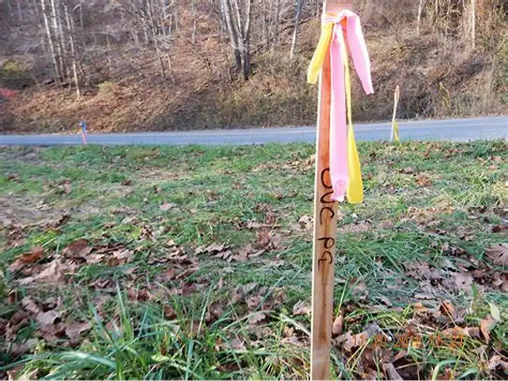 PVC Flagging Tape Trees Marking Ribbon Tape Trail Marking Tape