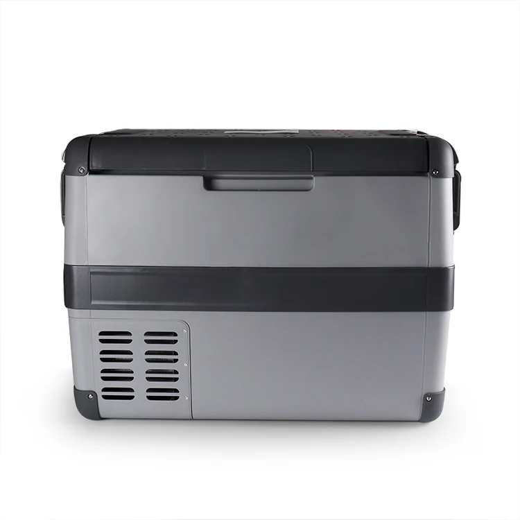 24L 12V 110V 240V portable electric thermoelectric cool box mini fridge for car