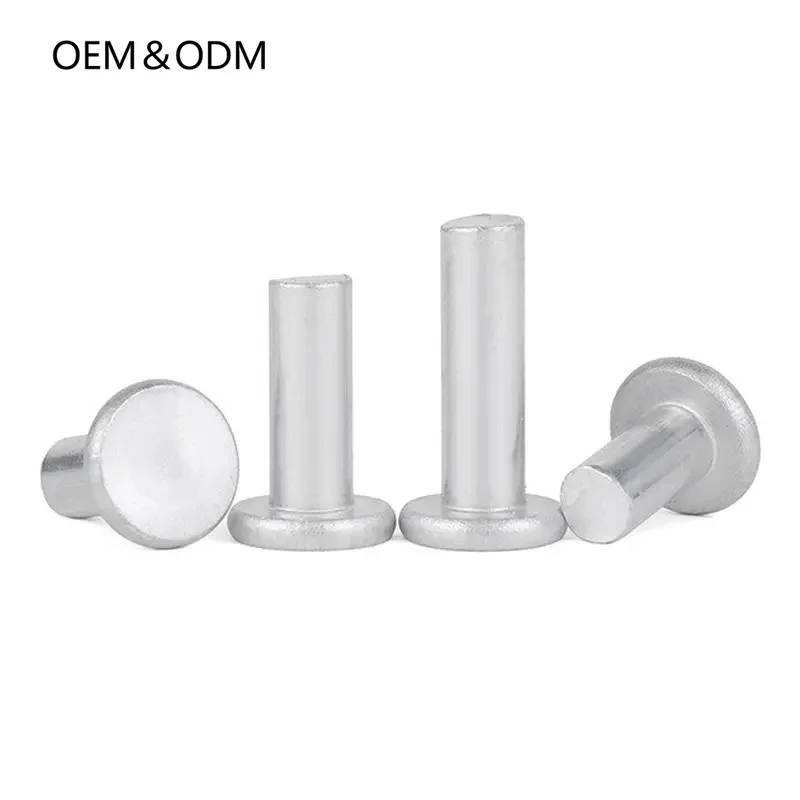 Professional Customization Non-Standard Stainless Steel 304 Solid Metal Rivets And Round Head Rivets