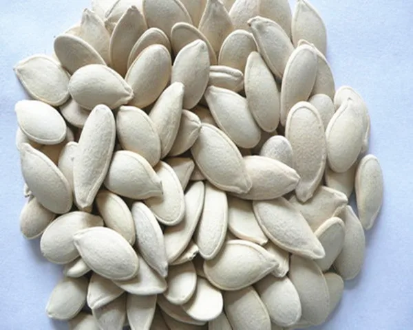 Китайские соленые и жареные семена белой тыквы