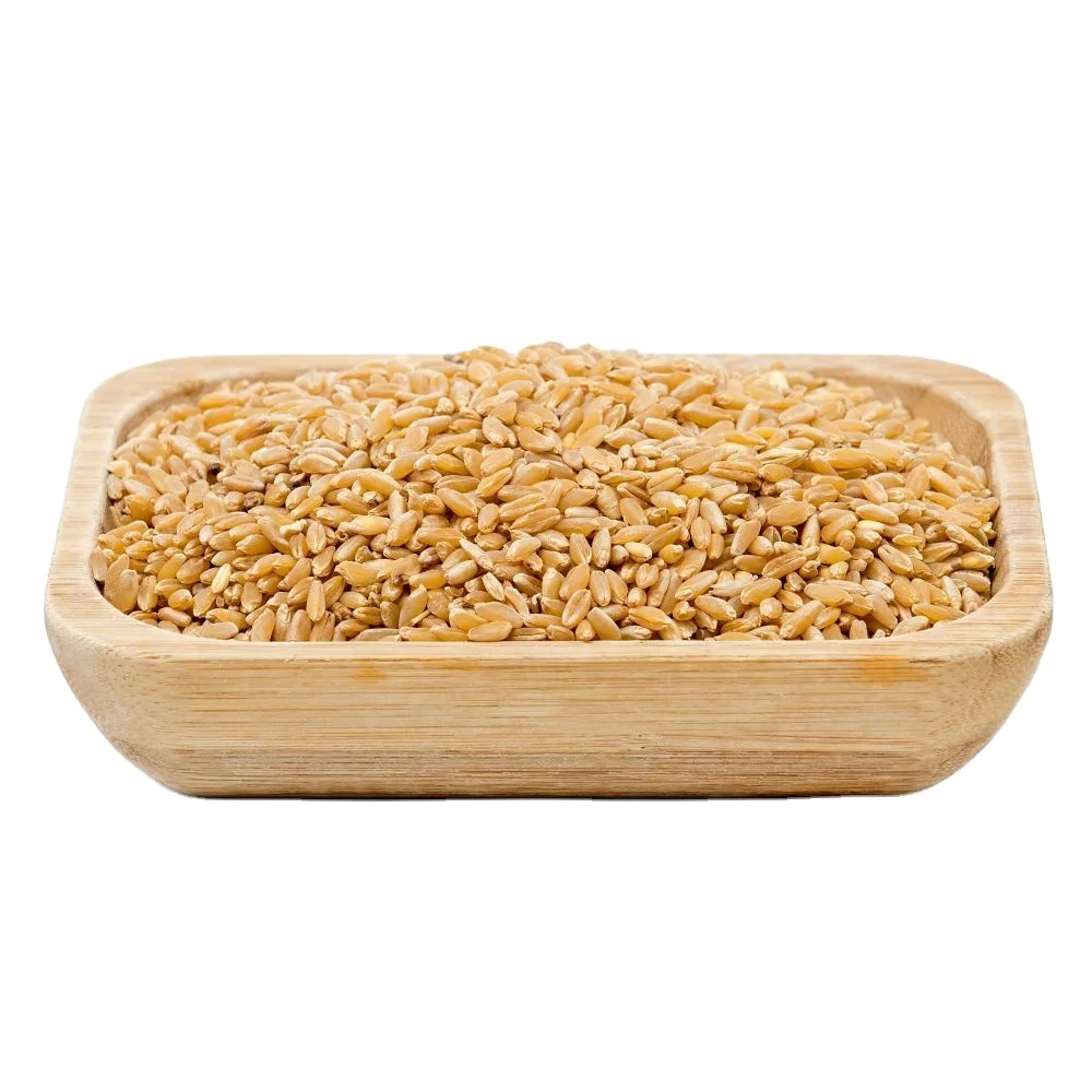 High quality wheat grain in bulk from Russia