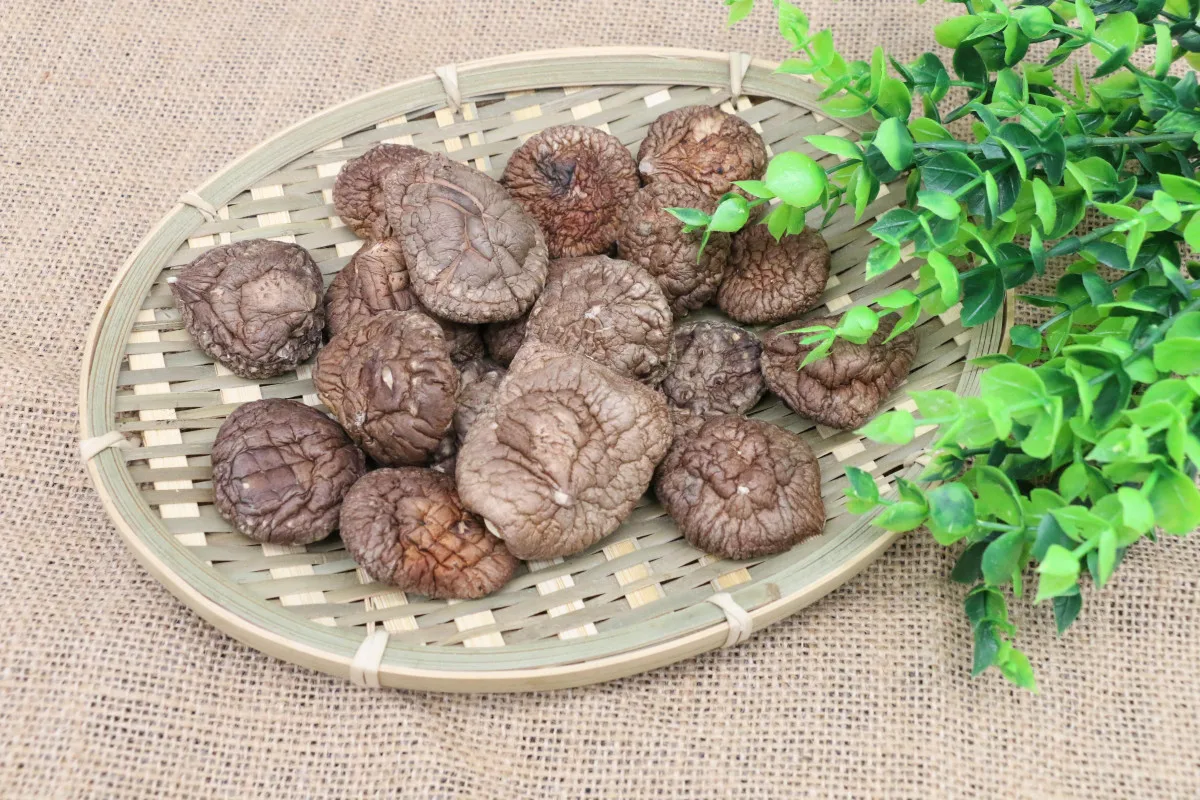  Здоровые органические сушеные грибы shiitake заводская цена цельные кусочки 1