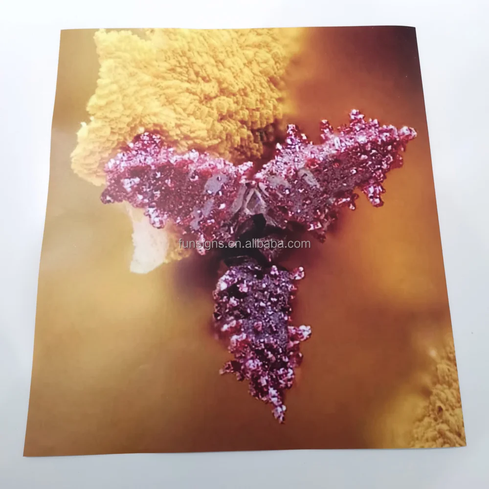 Custom Paper Poster Printing Wall Decor PVC/ Fabric/ Canvas Posters