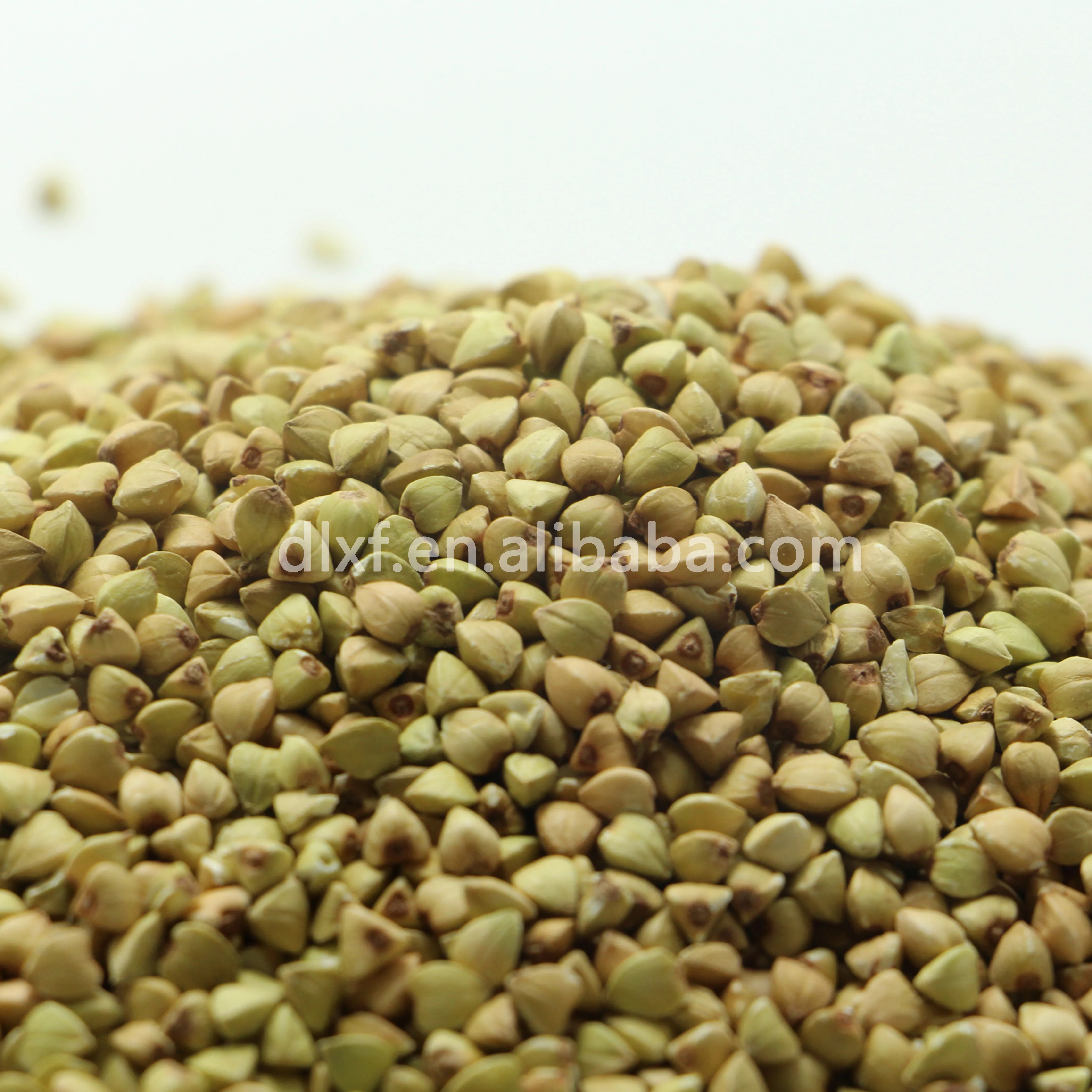  Халд гречиха