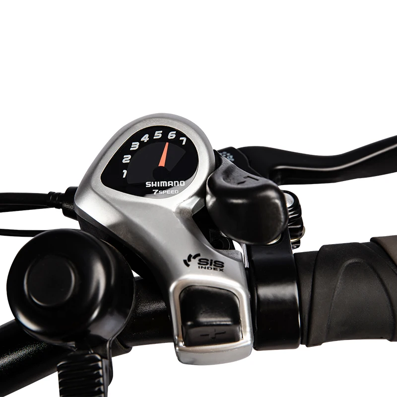 250W EN15194 Electric Folding Bike Other Electric Bike Fat Tire Electric Bicycle