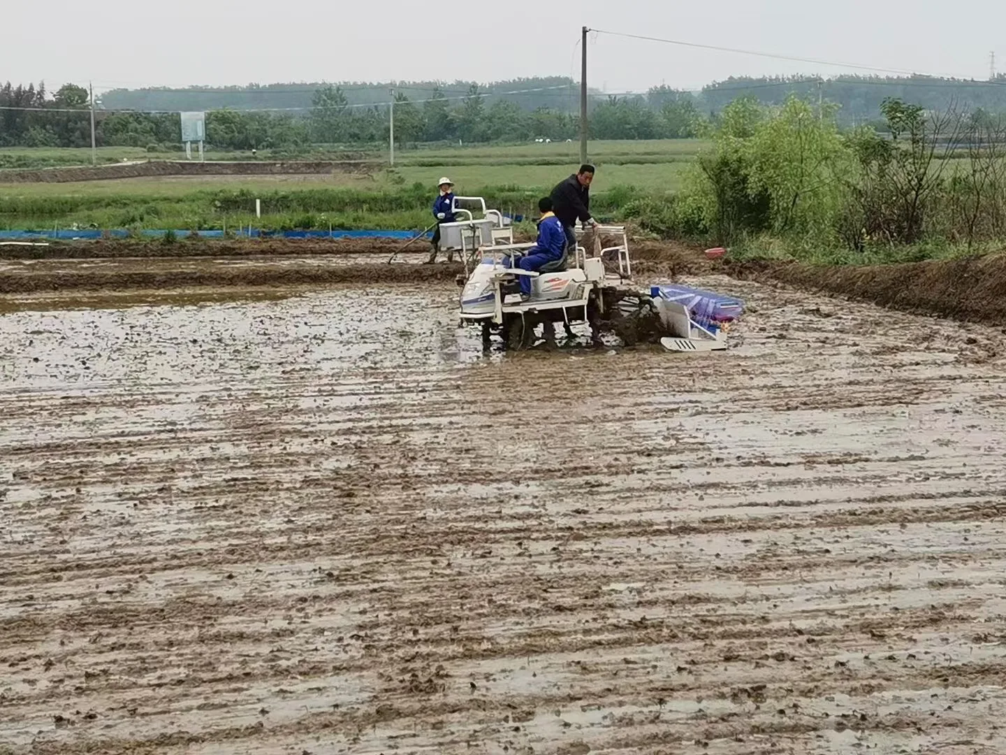 8-10 rows rice direct seeding machine