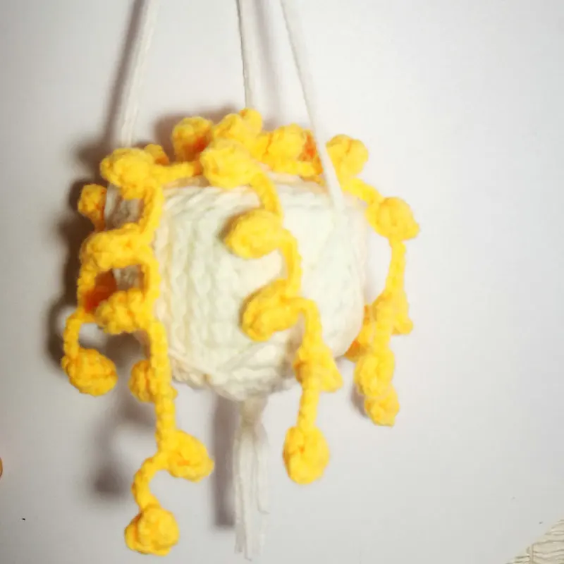 Car plant Crochet Hanging basket hanging plant for car
