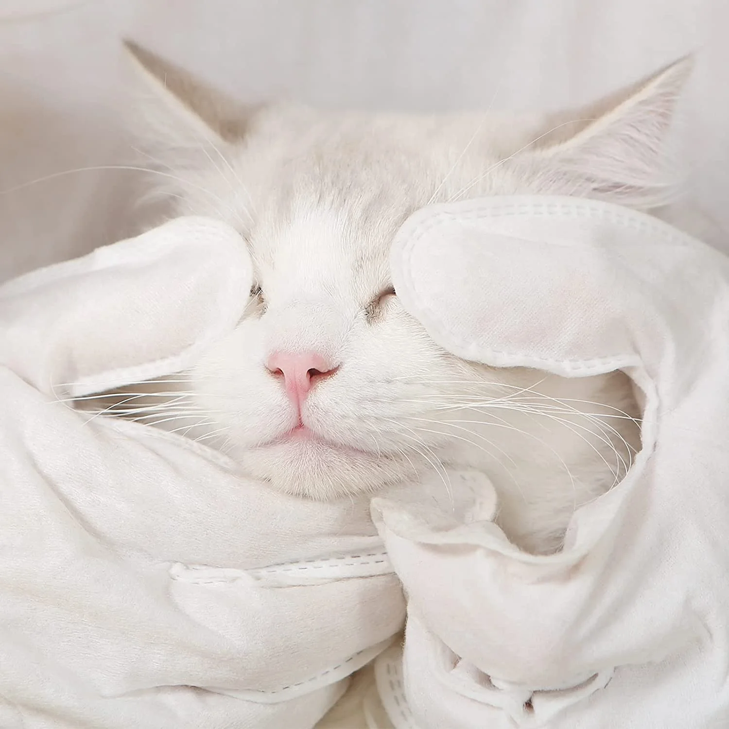 7pcs/box Hot Sale wash-free non woven household clean non irritating five finger dog cat wet wipes pet gloves