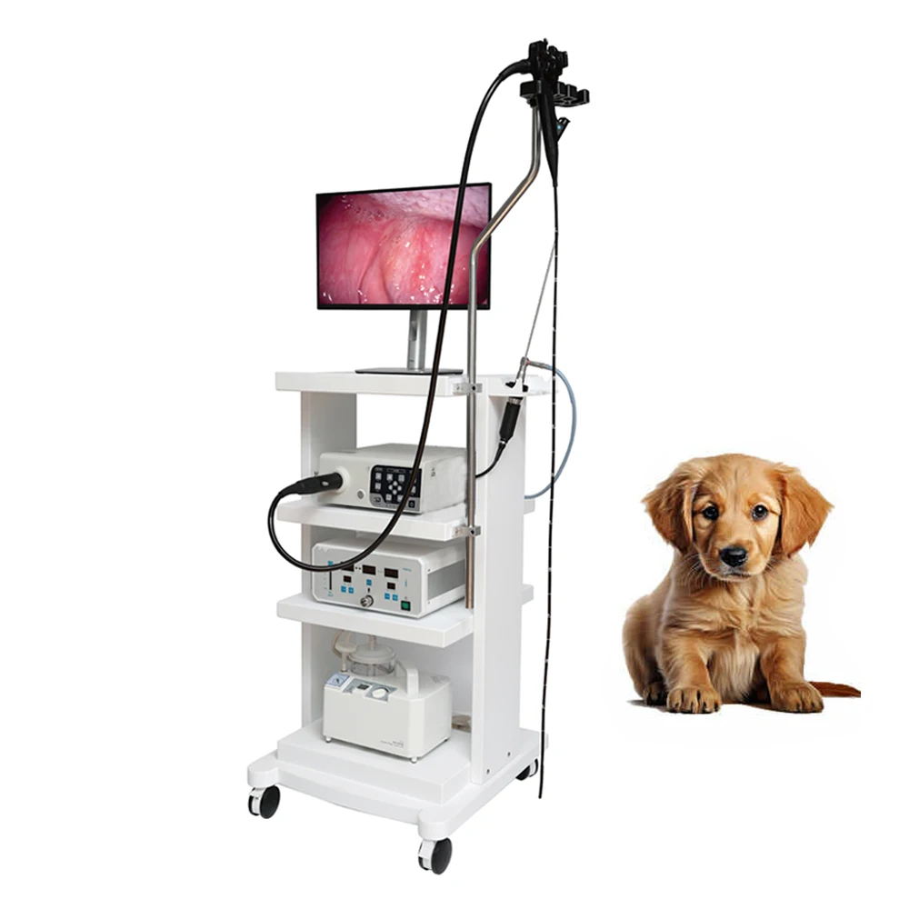 Заводская цена больничная медицинская видеокамера гастроскоп эндоскоп ветеринарная эндоскопическая система Гастроскопия эндоскопия