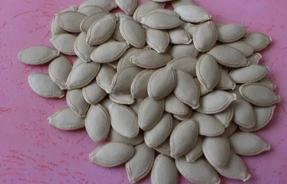 Pumpkin Seeds