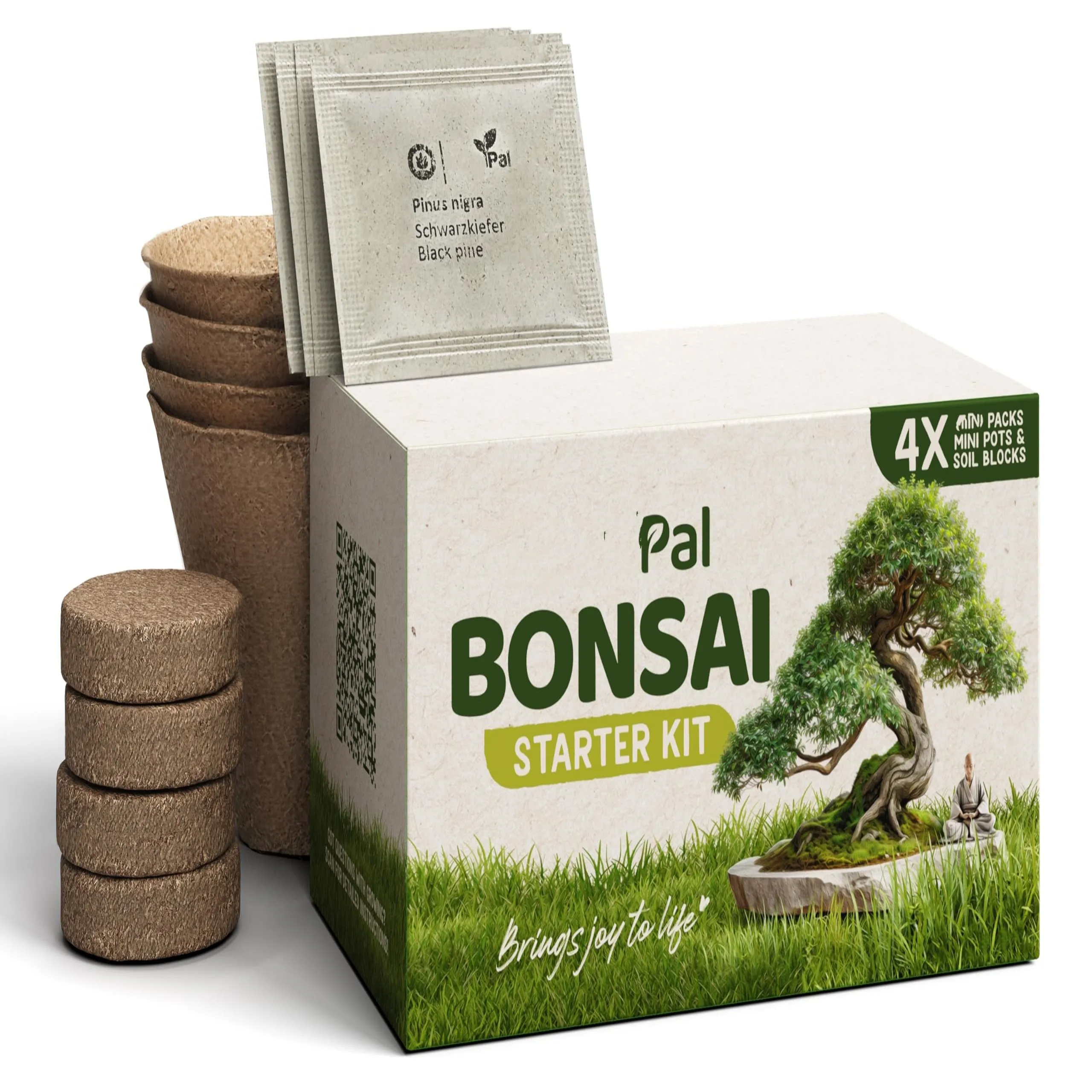 Заводская распродажа набор растений для выращивания бонсай 4 graines differentes de Bonsai с инструкциями и аксессуарами