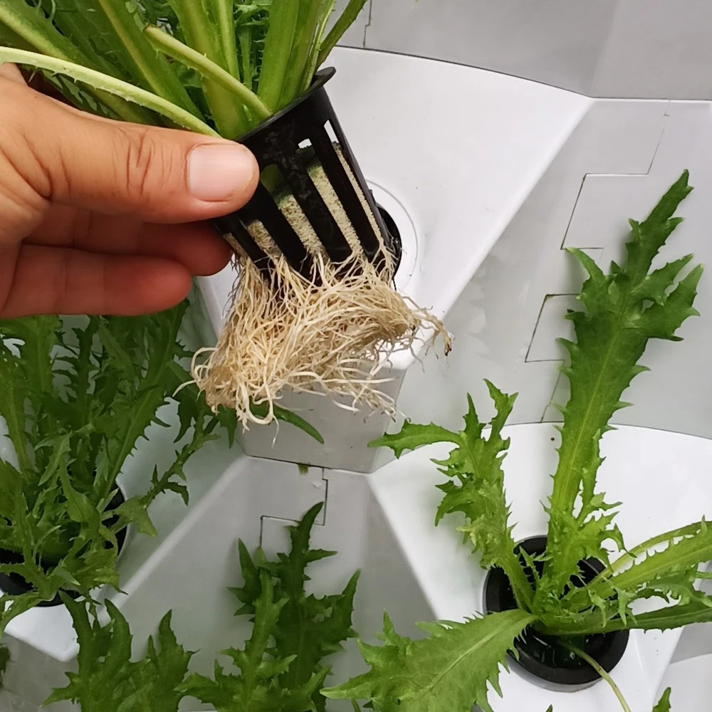 White and Black Net Mesh Pots Hydroponic Plastic Plant Pot