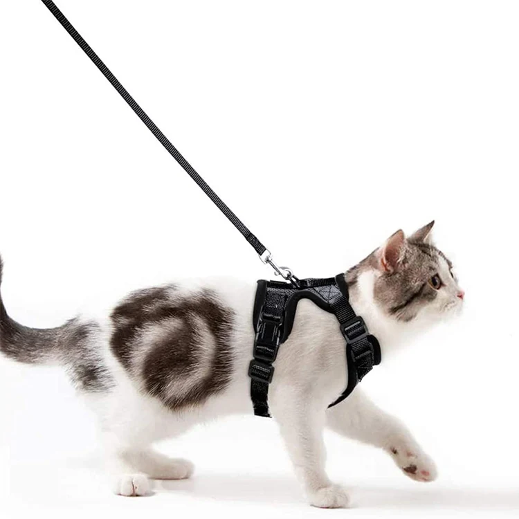 Pet travel adjustable cat vest wire custom mesh cat harness escape proof cat harness and leash set for walking