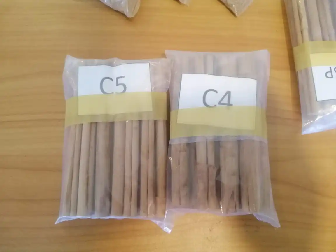 Quality Ceylon Cinnamon Stick Good Price For Wholesale From Sri Lanka