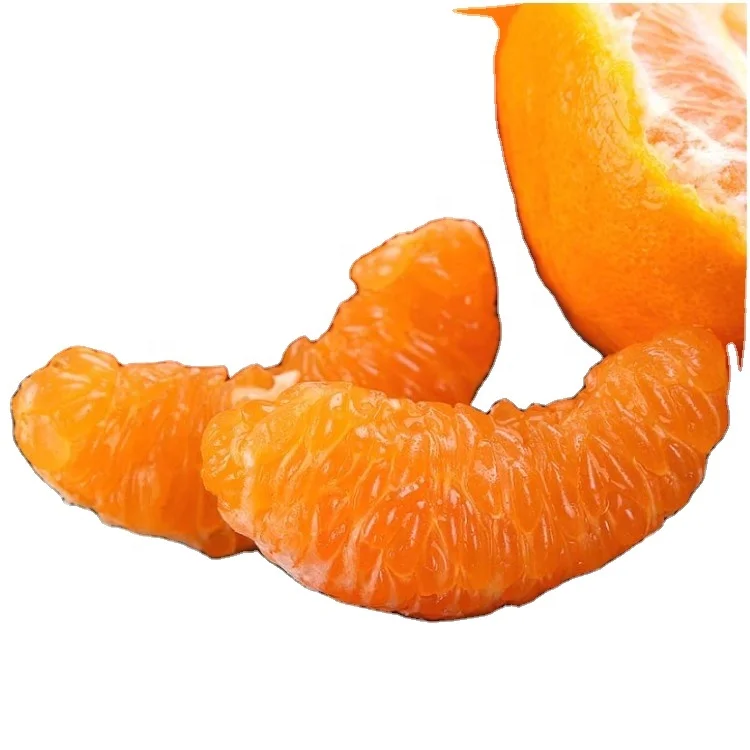 Fresh citrus fruits Navel oranges mandarin fruits wholesale top China citrus mandarin orange